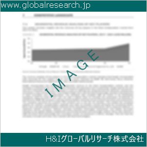 グローバルリサーチ調査資料のイメージ